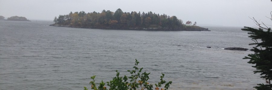 Capstone User Testing